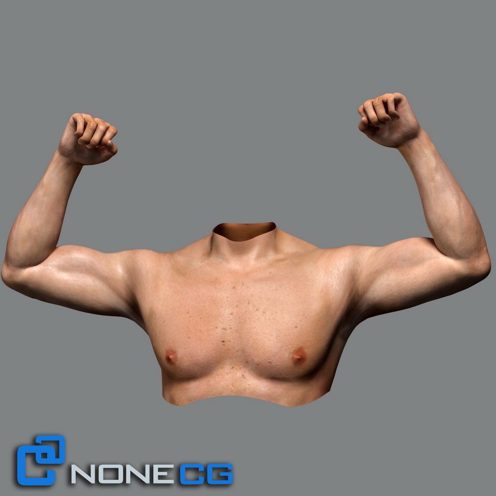 Adult Male Torso Rigged 3D model_7