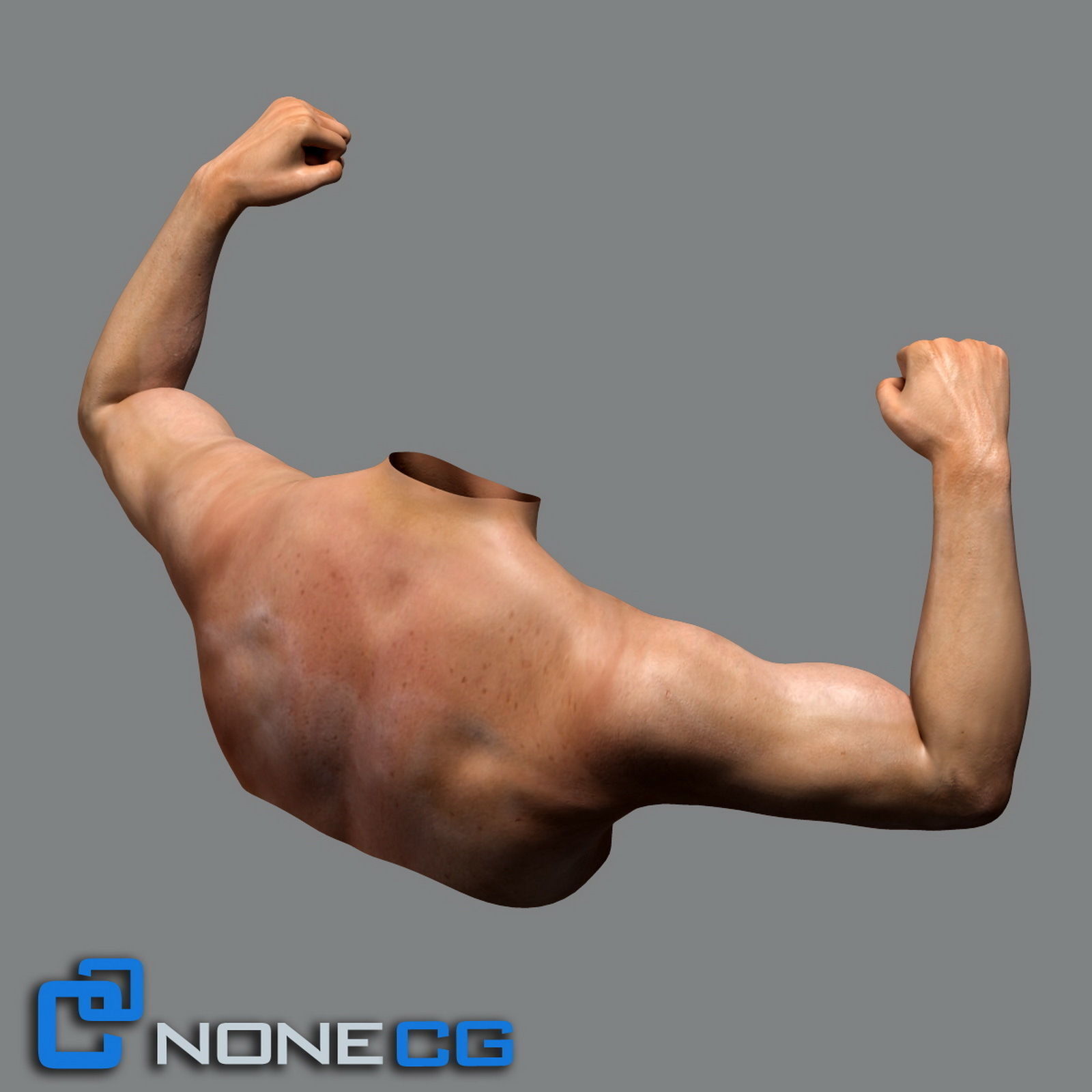Adult Male Torso Rigged 3D model_8