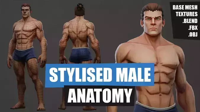 Stylised Male Base Mesh Game Ready Rigged Low-poly 3D model