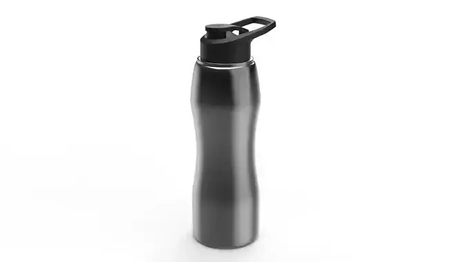 Stainless Steel Water Bottle