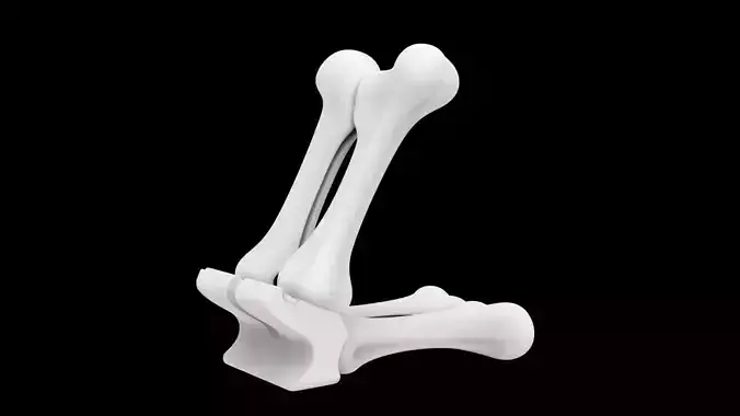 Stand Phone Bone Shaped Printable 3D print model
