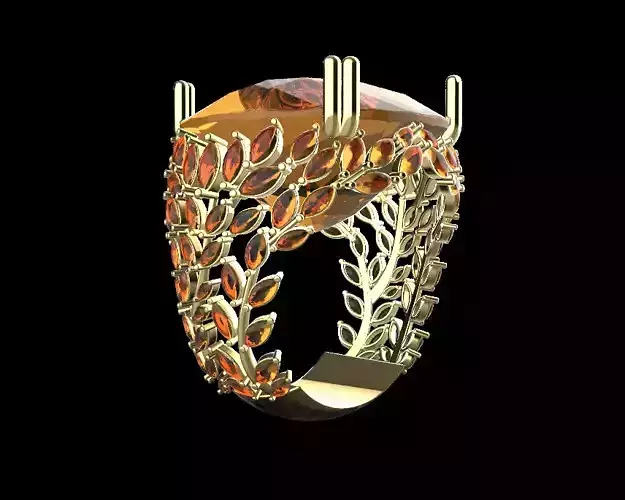 My Exclusive model ring