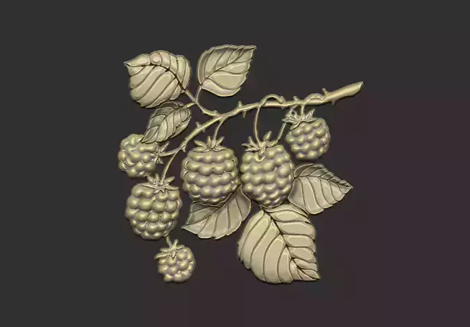  raspberries fruit grapes