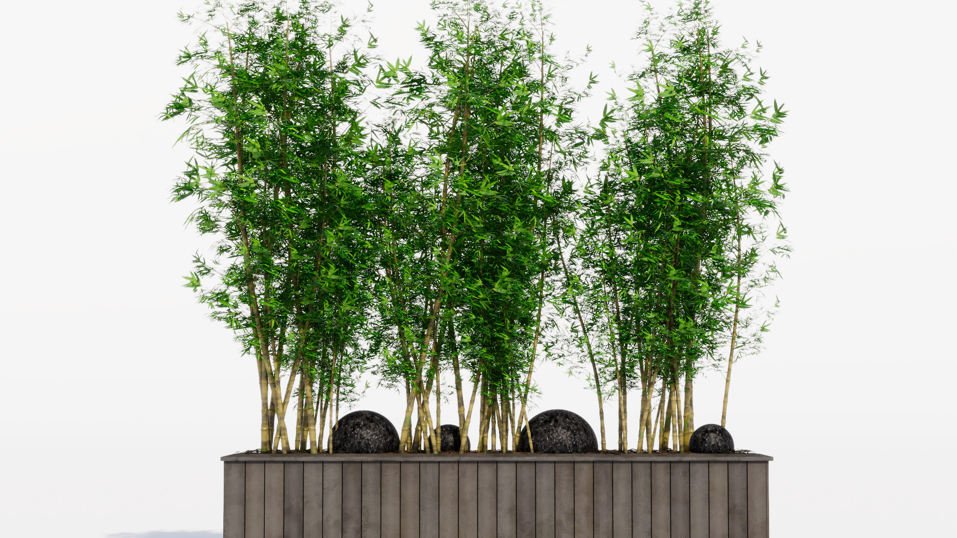 Bamboo Pot Low-poly 3D model_5