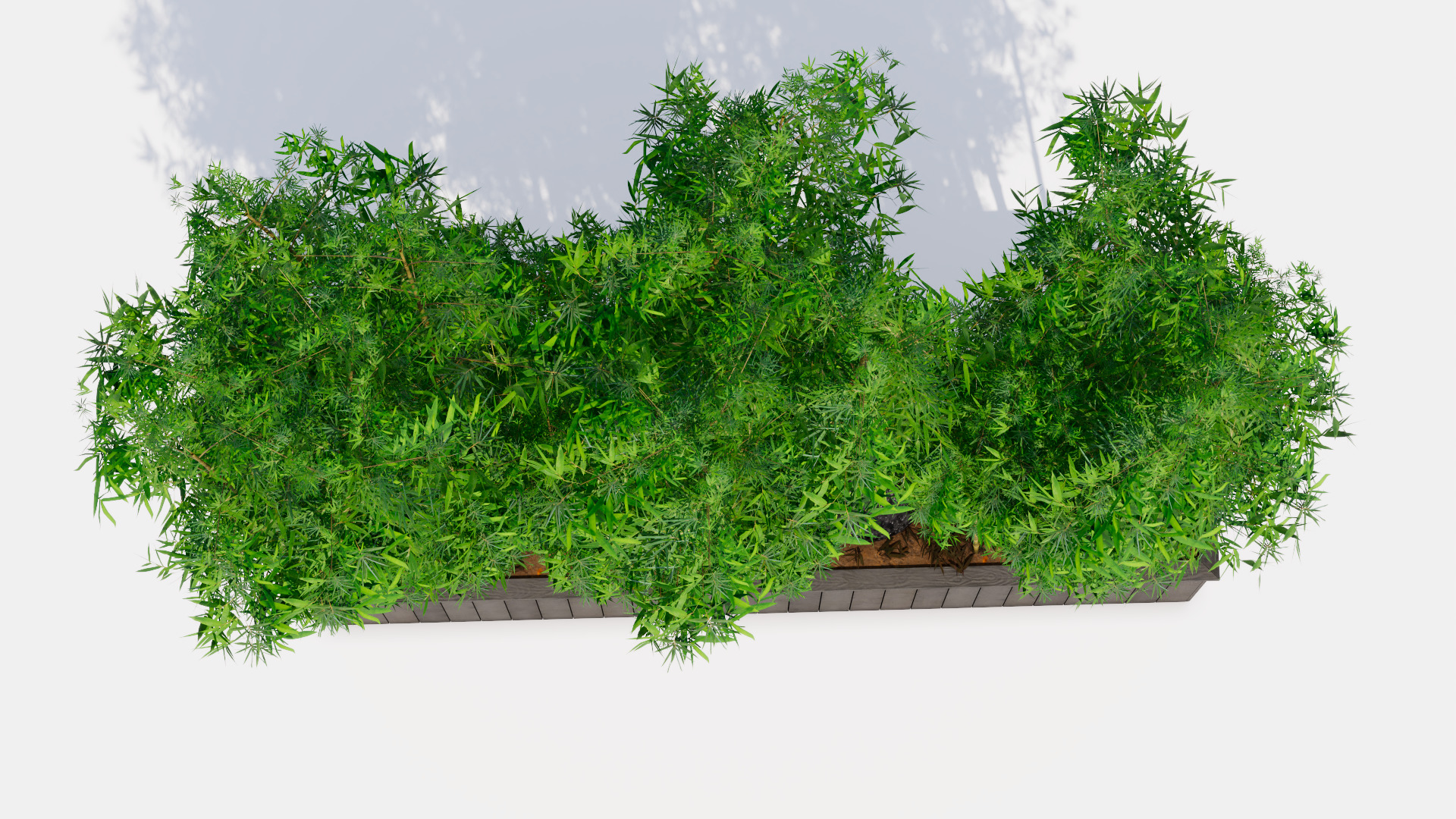 Bamboo Pot Low-poly 3D model_4