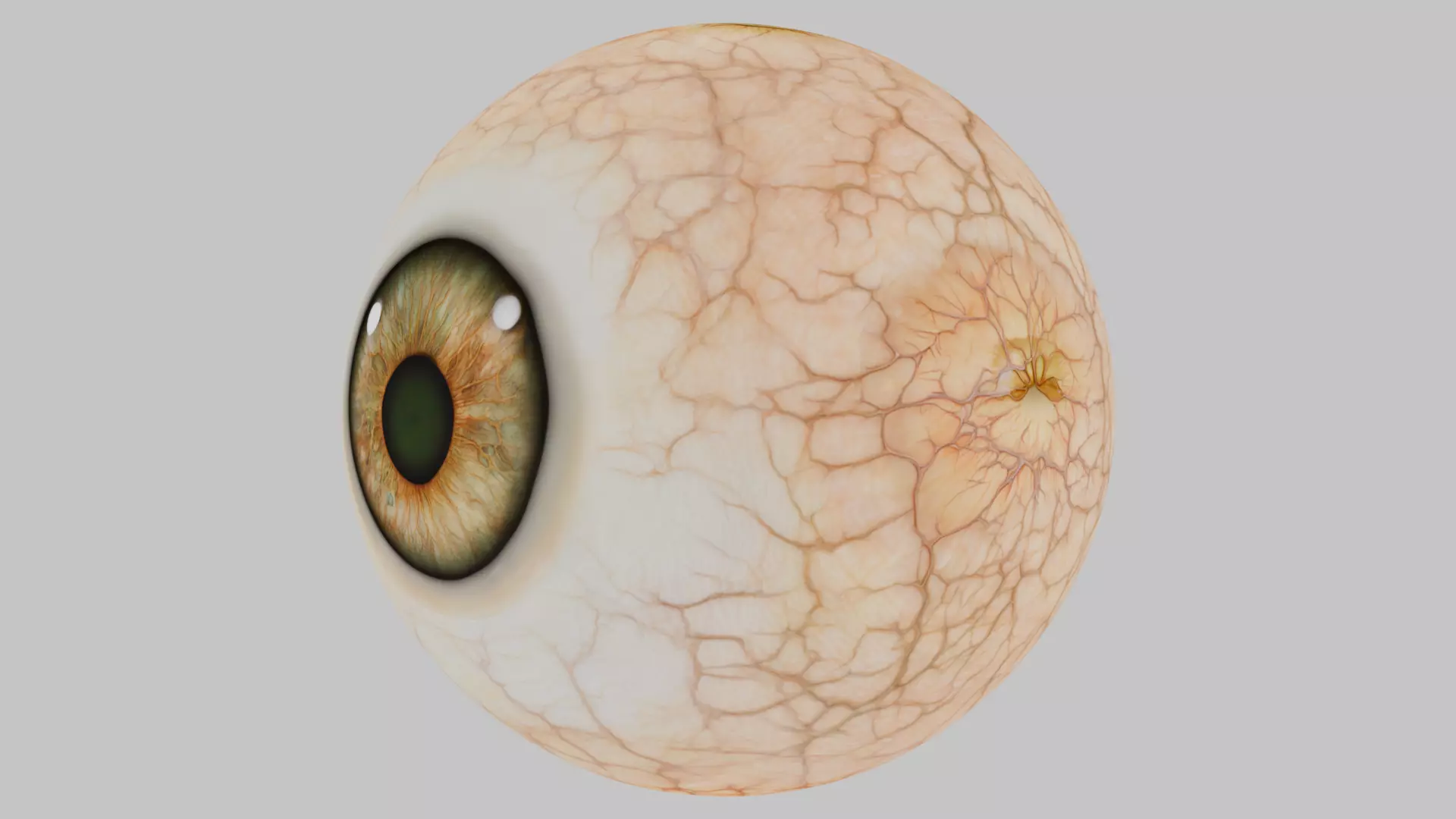 3D Eye Model with Realistic Textures Low-poly 3D model_3