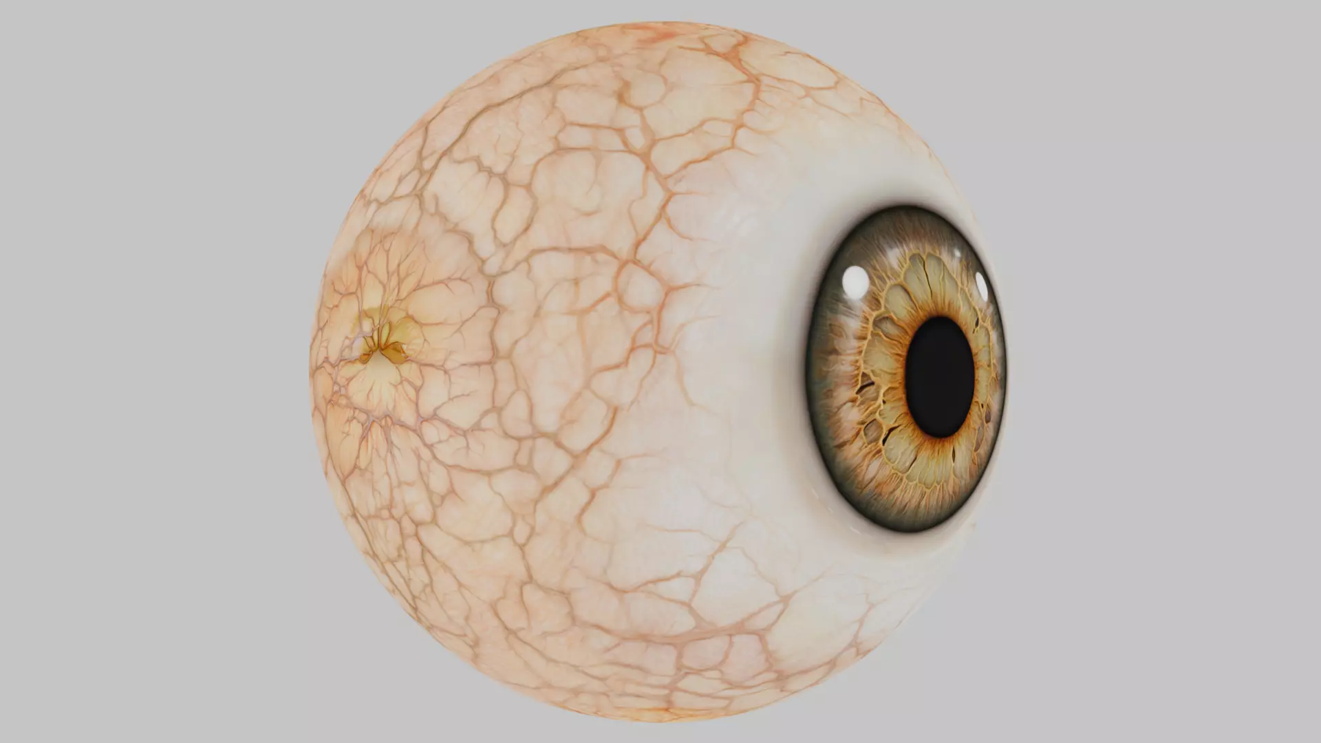 3D Eye Model with Realistic Textures Low-poly 3D model_1