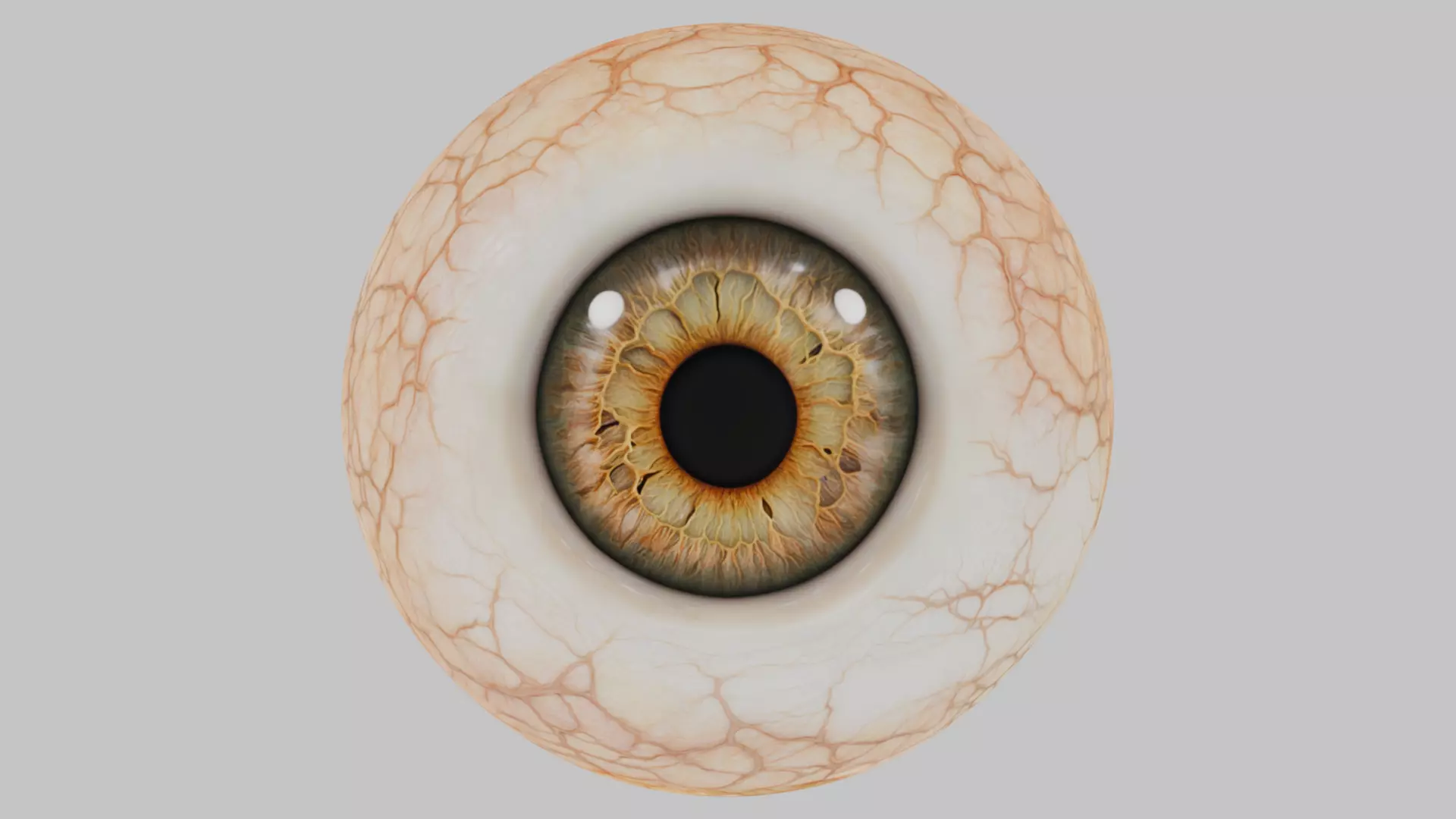 3D Eye Model with Realistic Textures Low-poly 3D model_0