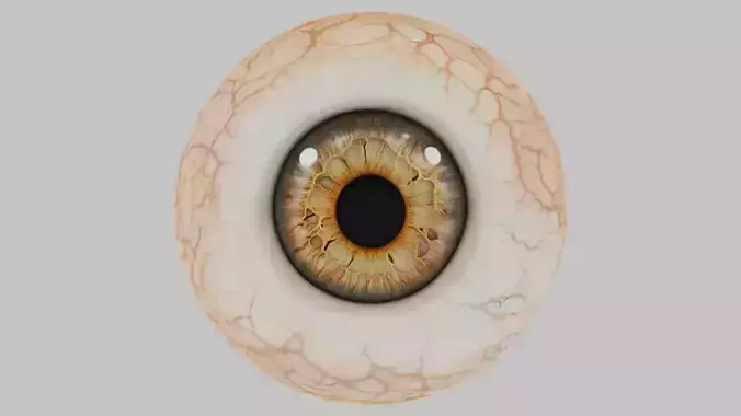 3D Eye Model with Realistic Textures
