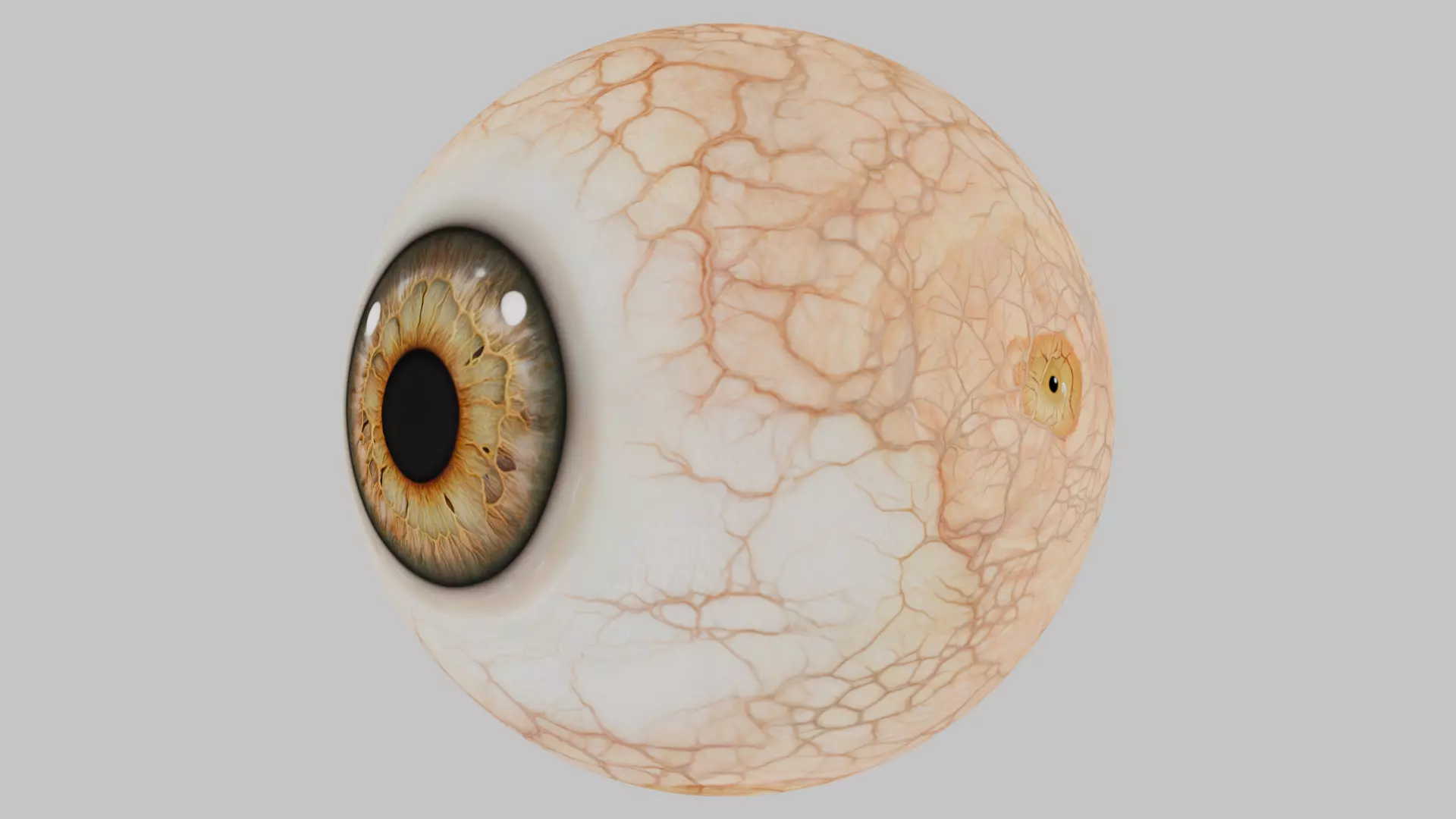 3D Eye Model with Realistic Textures Low-poly 3D model_7