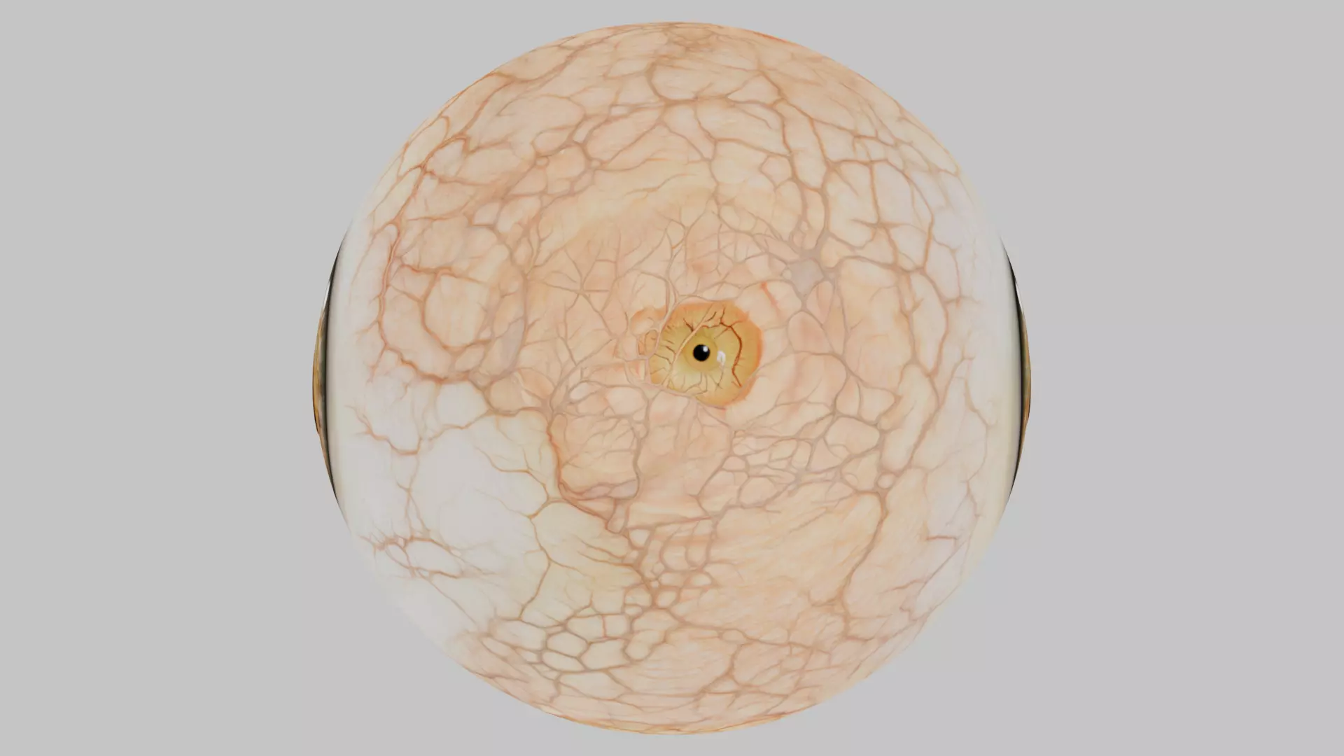 3D Eye Model with Realistic Textures Low-poly 3D model_6