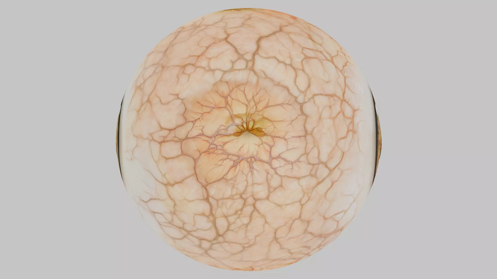 3D Eye Model with Realistic Textures Low-poly 3D model_2