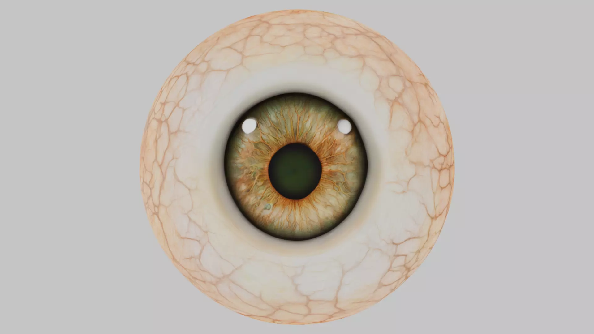 3D Eye Model with Realistic Textures Low-poly 3D model_4