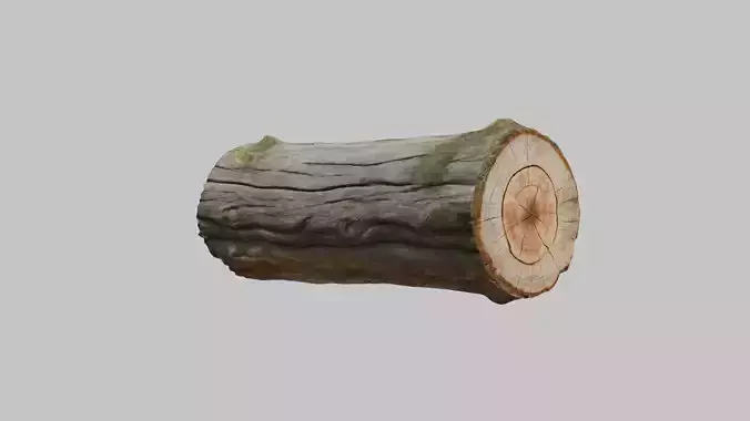 Tree log sitting