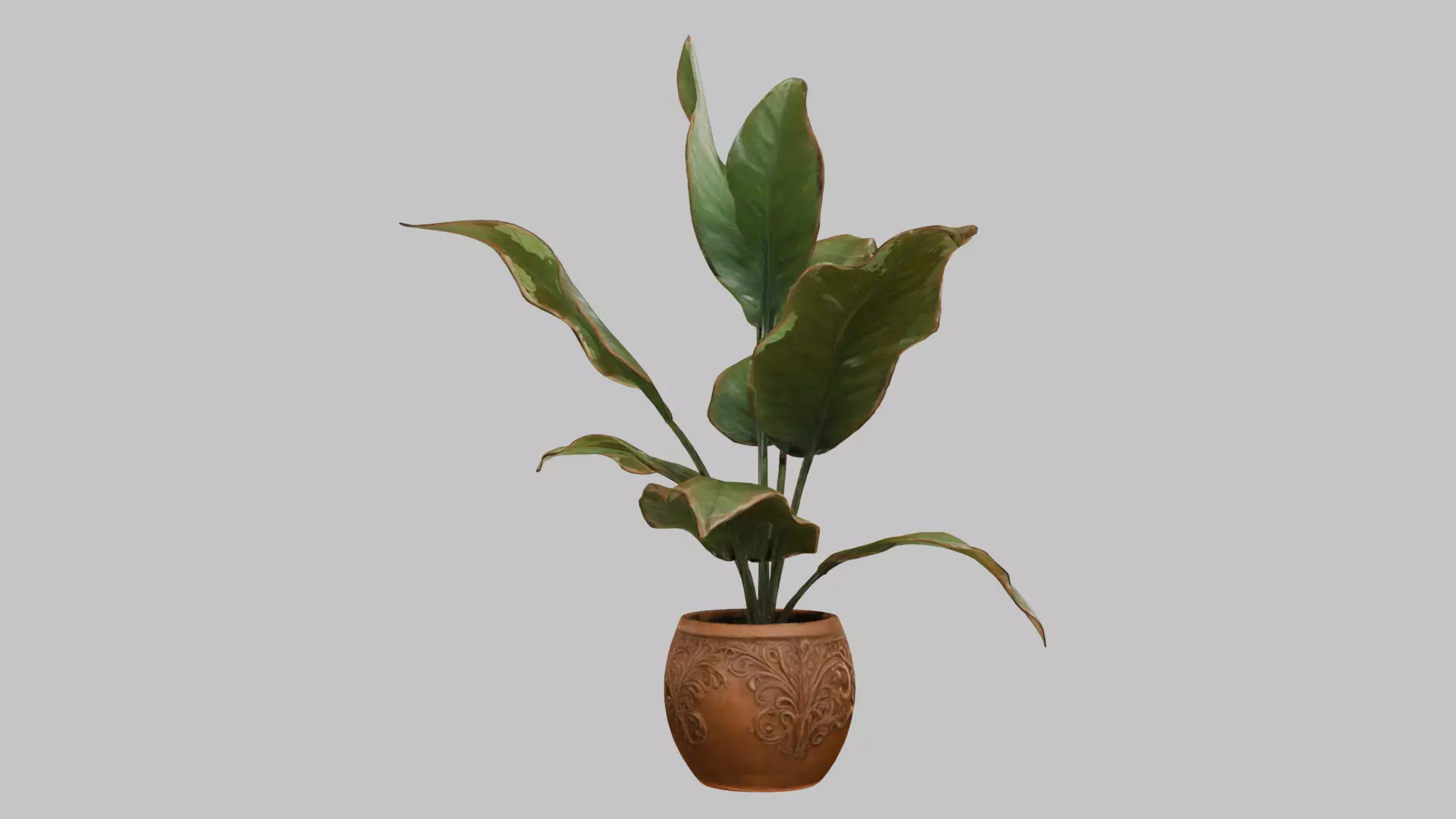 3D model of a plant Low-poly 3D model_4
