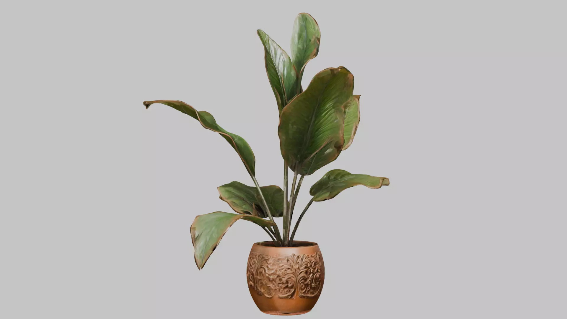 3D model of a plant Low-poly 3D model_1