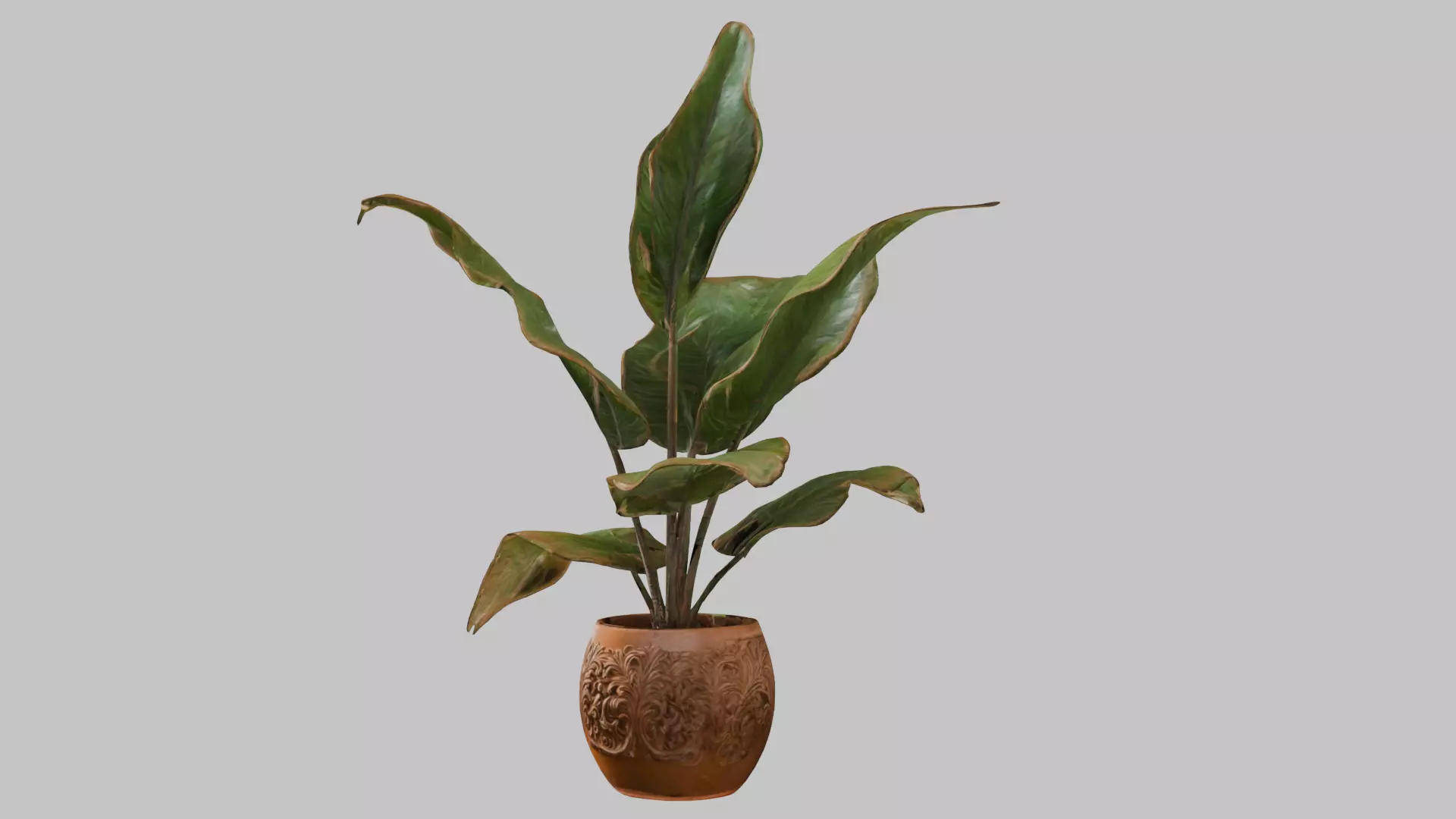 3D model of a plant Low-poly 3D model_7