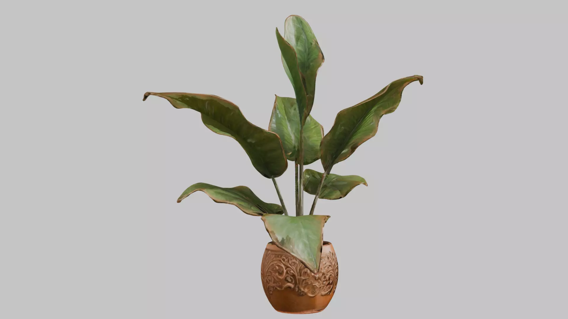 3D model of a plant Low-poly 3D model_2