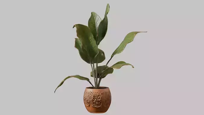 3D model of a plant