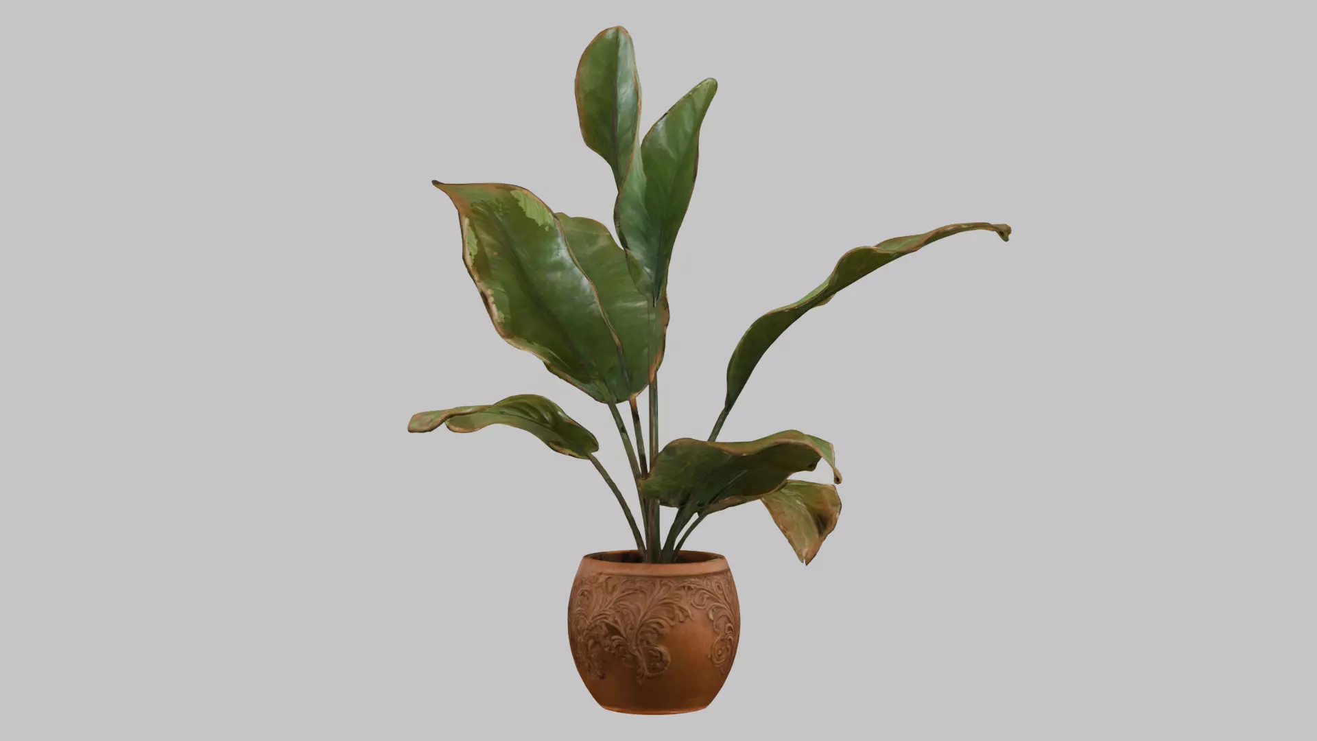 3D model of a plant Low-poly 3D model_5