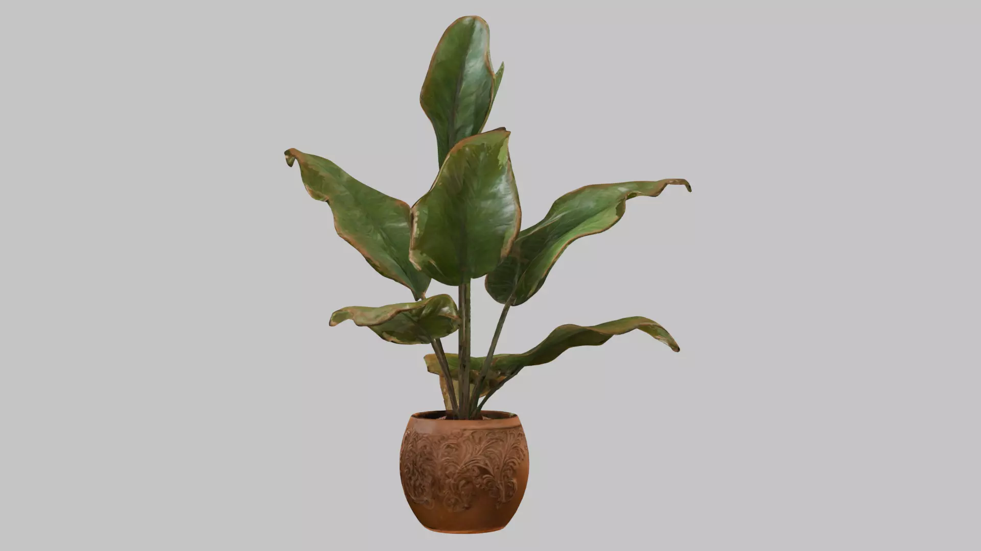 3D model of a plant Low-poly 3D model_6