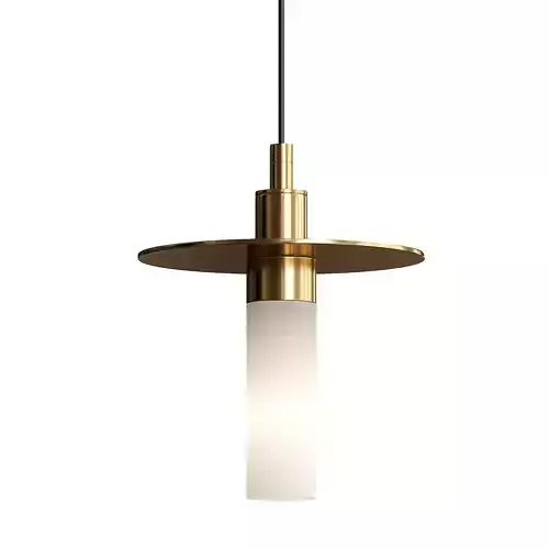  Hot Plate Shape Pendant Light