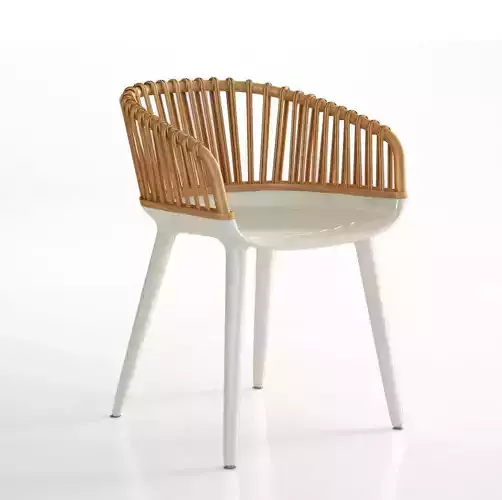 Rattan chair