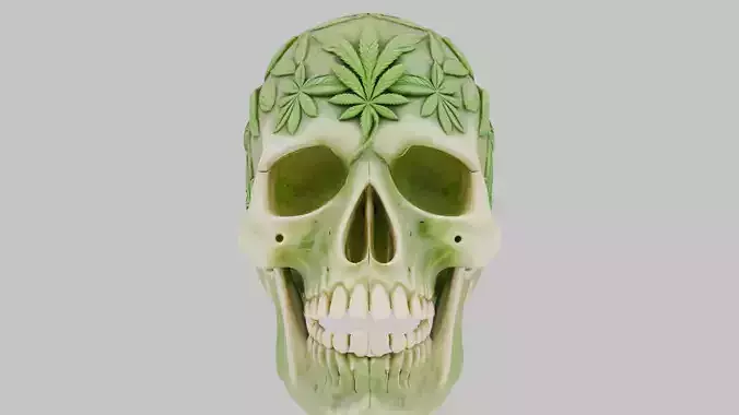 High Quality Detailed Skull 3D Model