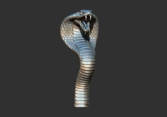 Cobra Snake Head 3D Printable Model  3D print model
