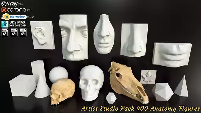 Artist Studio Pack 400 - Anatomy Figures