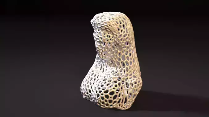 Young woman Voronoi 3D print model