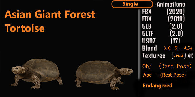 Asian Giant Forest Tortoise Low-poly 3D model