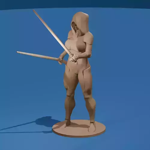 Female Dark Side Warrior STL