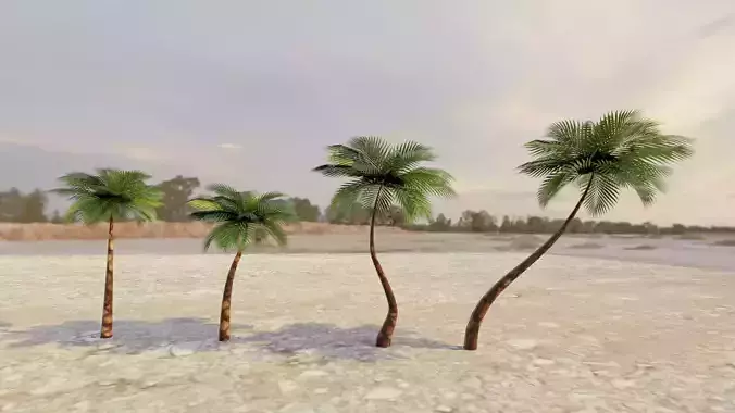  Palm Tree  3D model