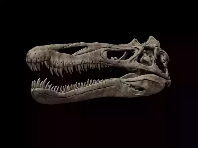 Suchomimus Skull 3D print model
