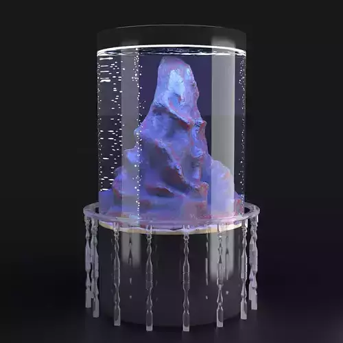 Round Aquarium with Decorative Rock