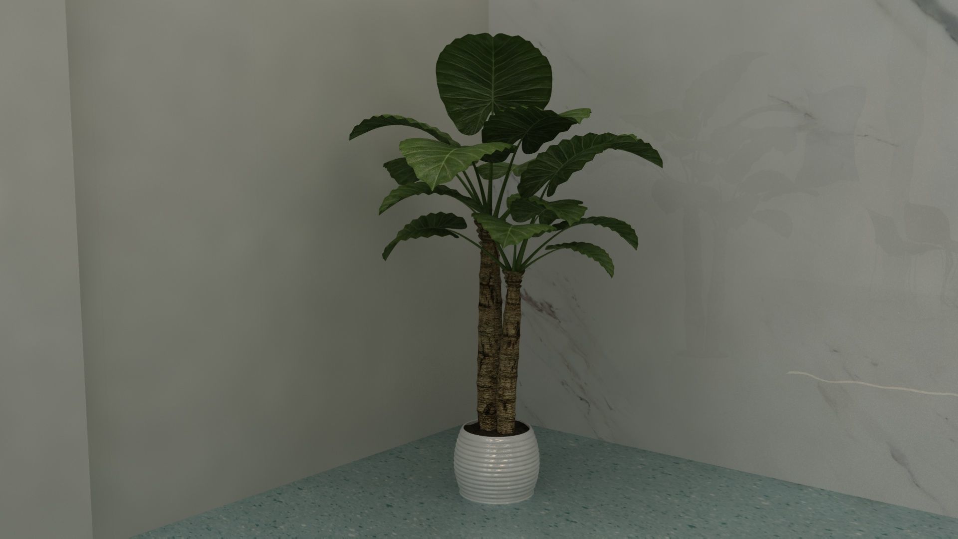 Dental Opearting Room and Lobby 3D model_12