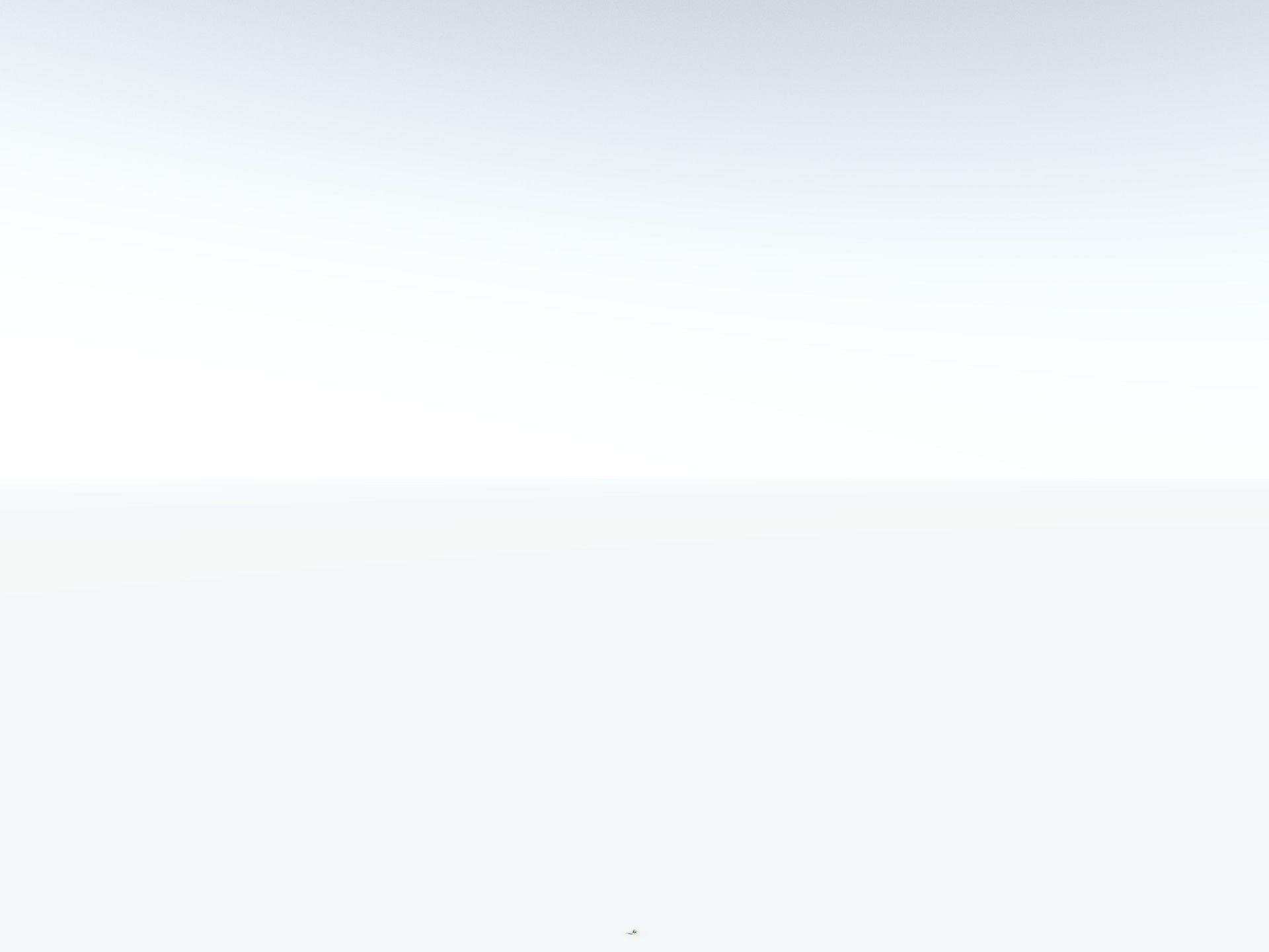 EVERYPlant Calamites Carinatus LowPoly Low-poly 3D model_30