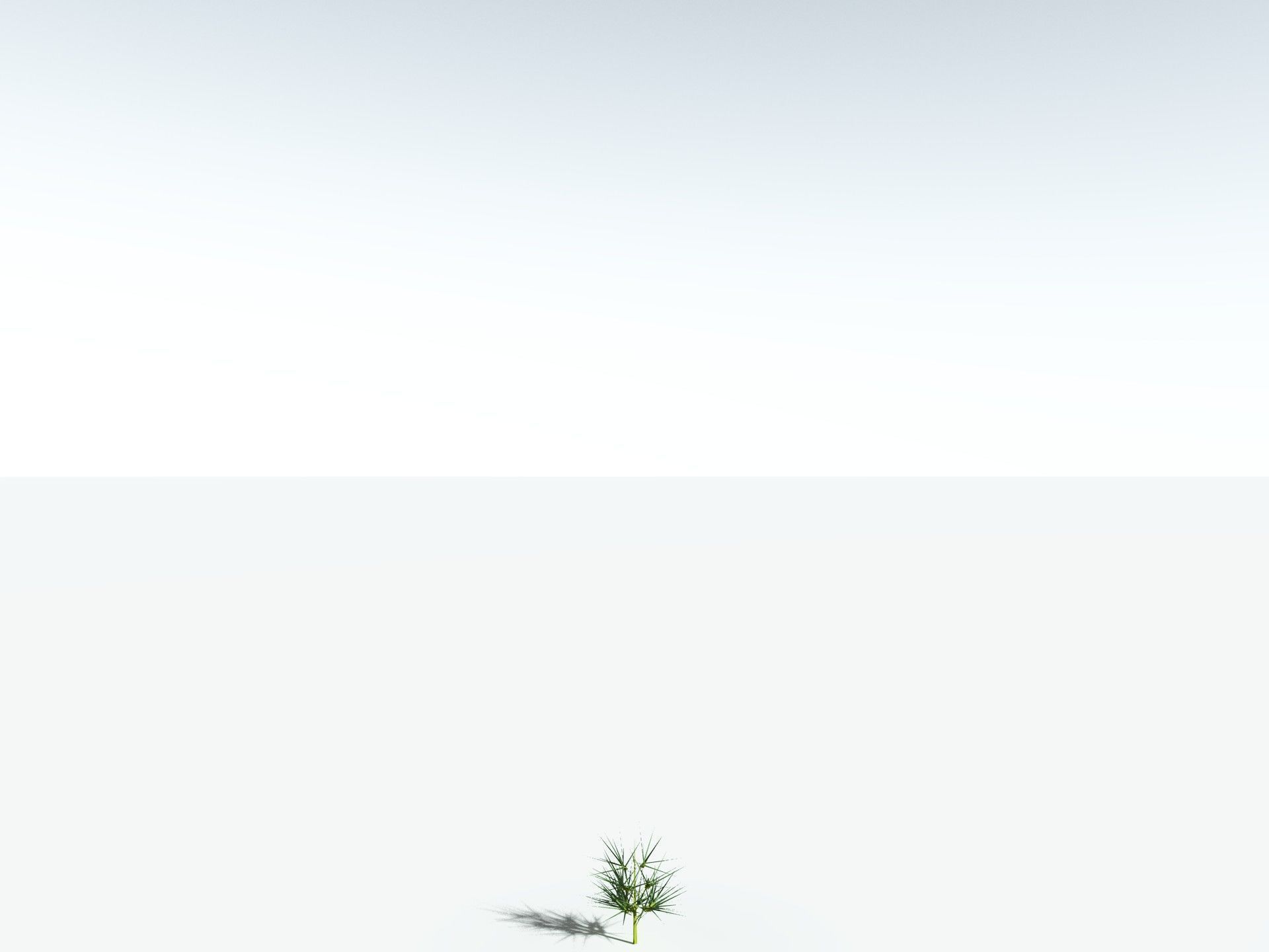 EVERYPlant Calamites Carinatus LowPoly Low-poly 3D model_31