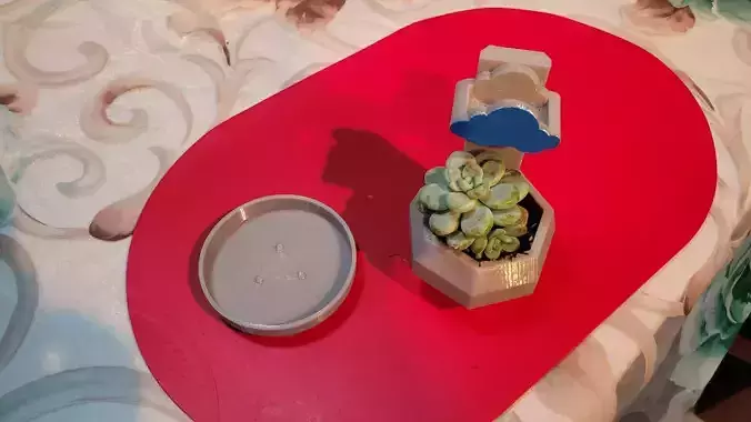 MINIMALIST POT WITH WATERING CLOUD