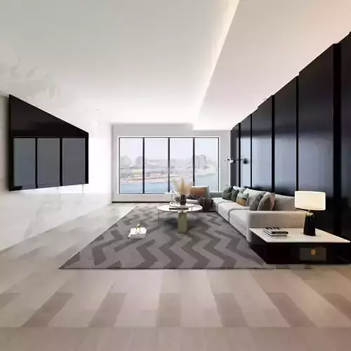 Living and Dining Room Combo