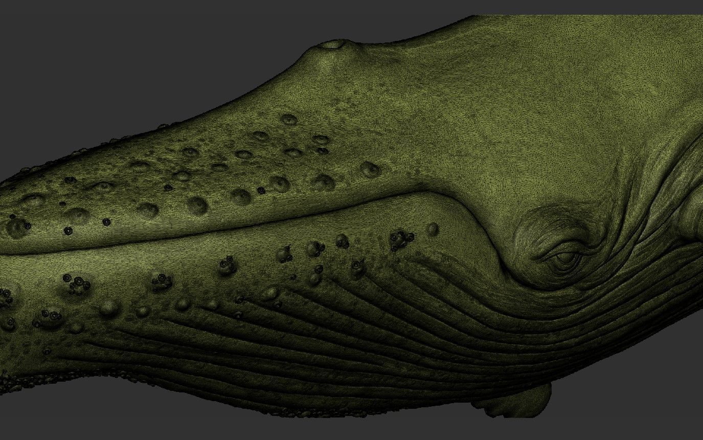 Whale 3dprint 3D print model_11