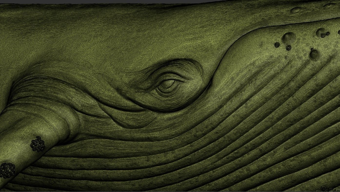 Whale 3dprint 3D print model_12