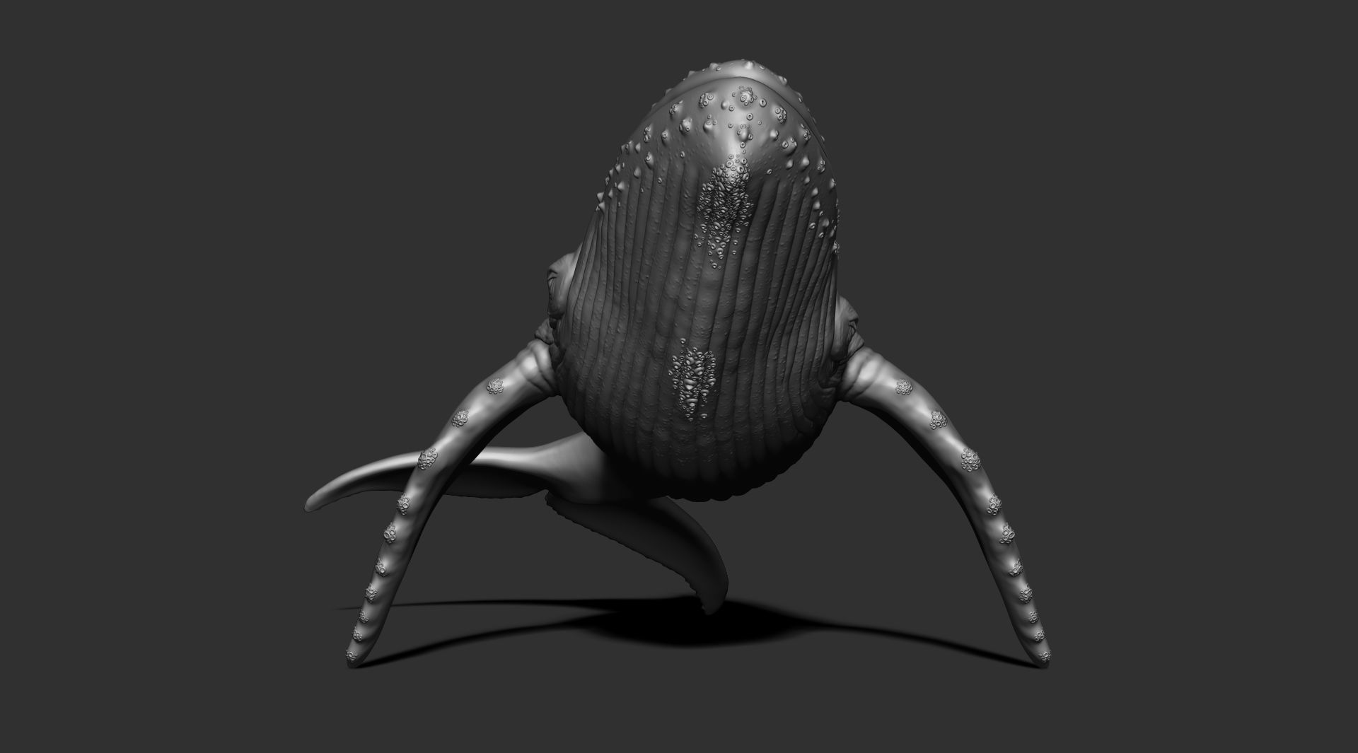 Whale 3dprint 3D print model_3