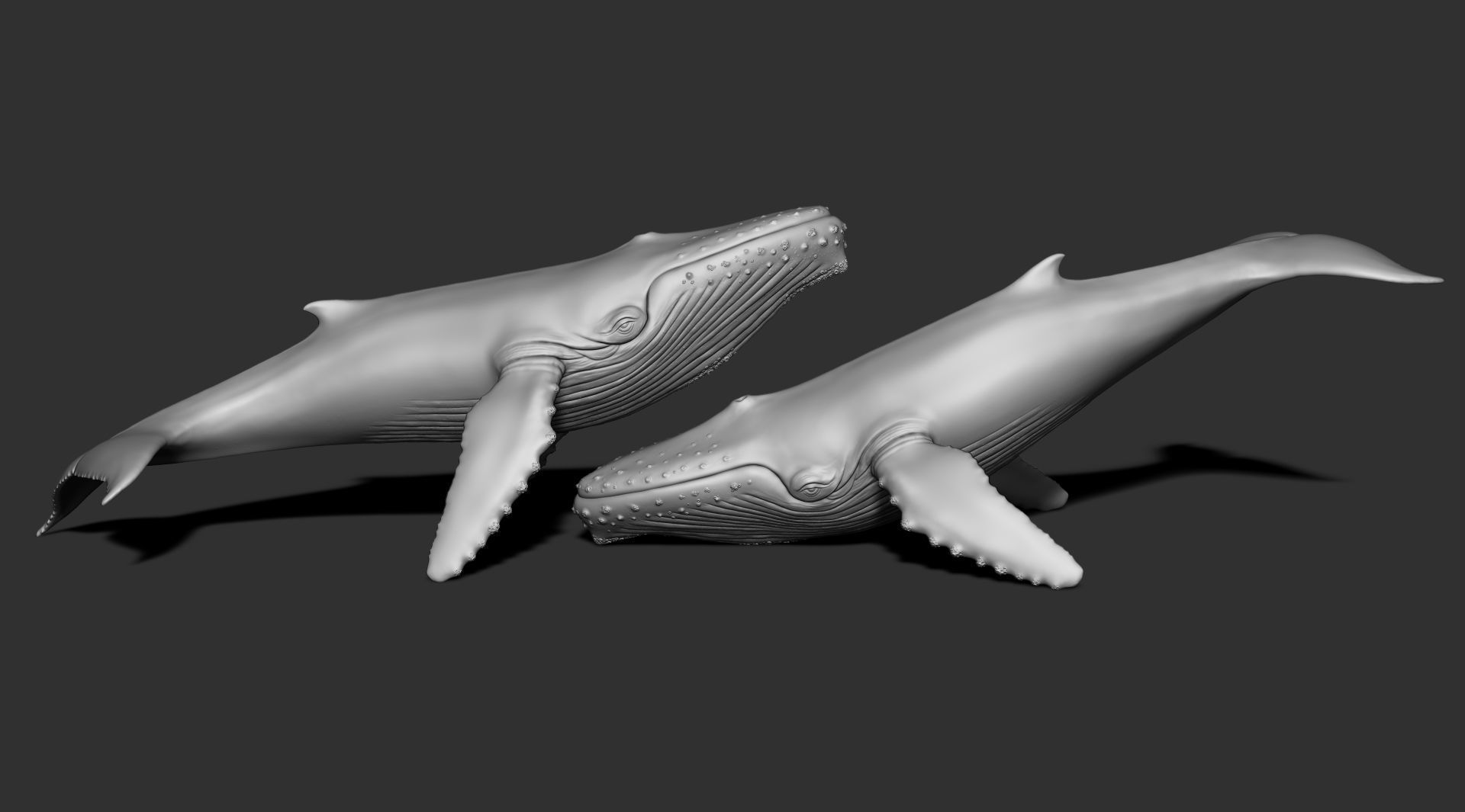 Whale 3dprint 3D print model_10