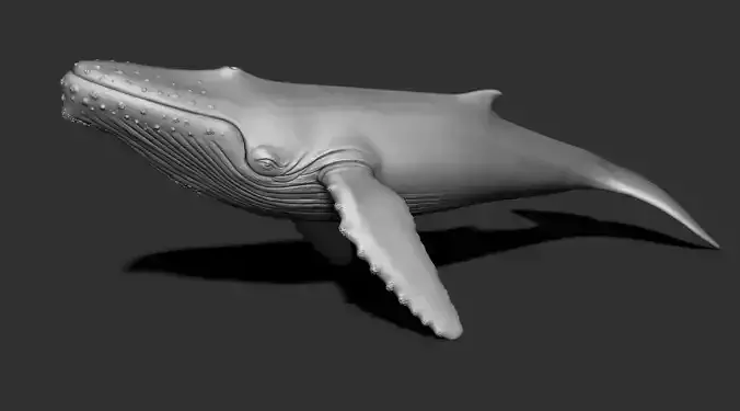 Whale 3dprint 3D print model