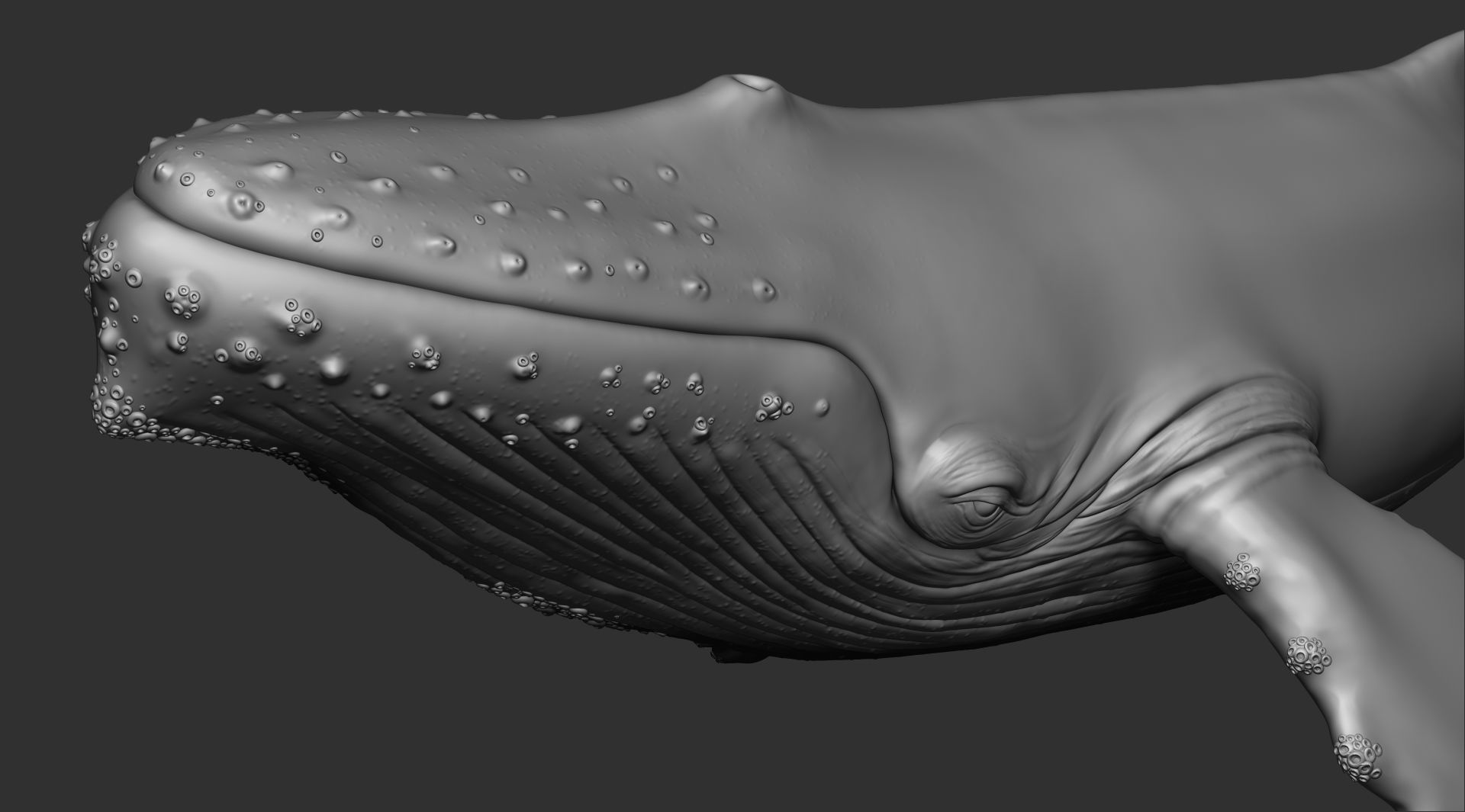 Whale 3dprint 3D print model_6