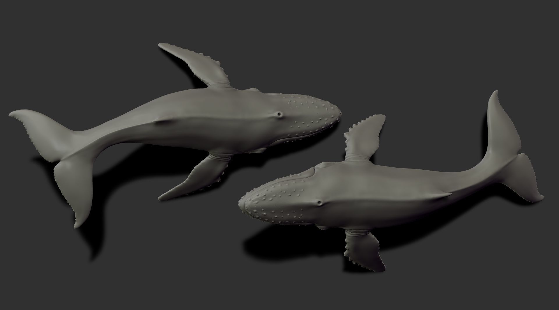 Whale 3dprint 3D print model_9