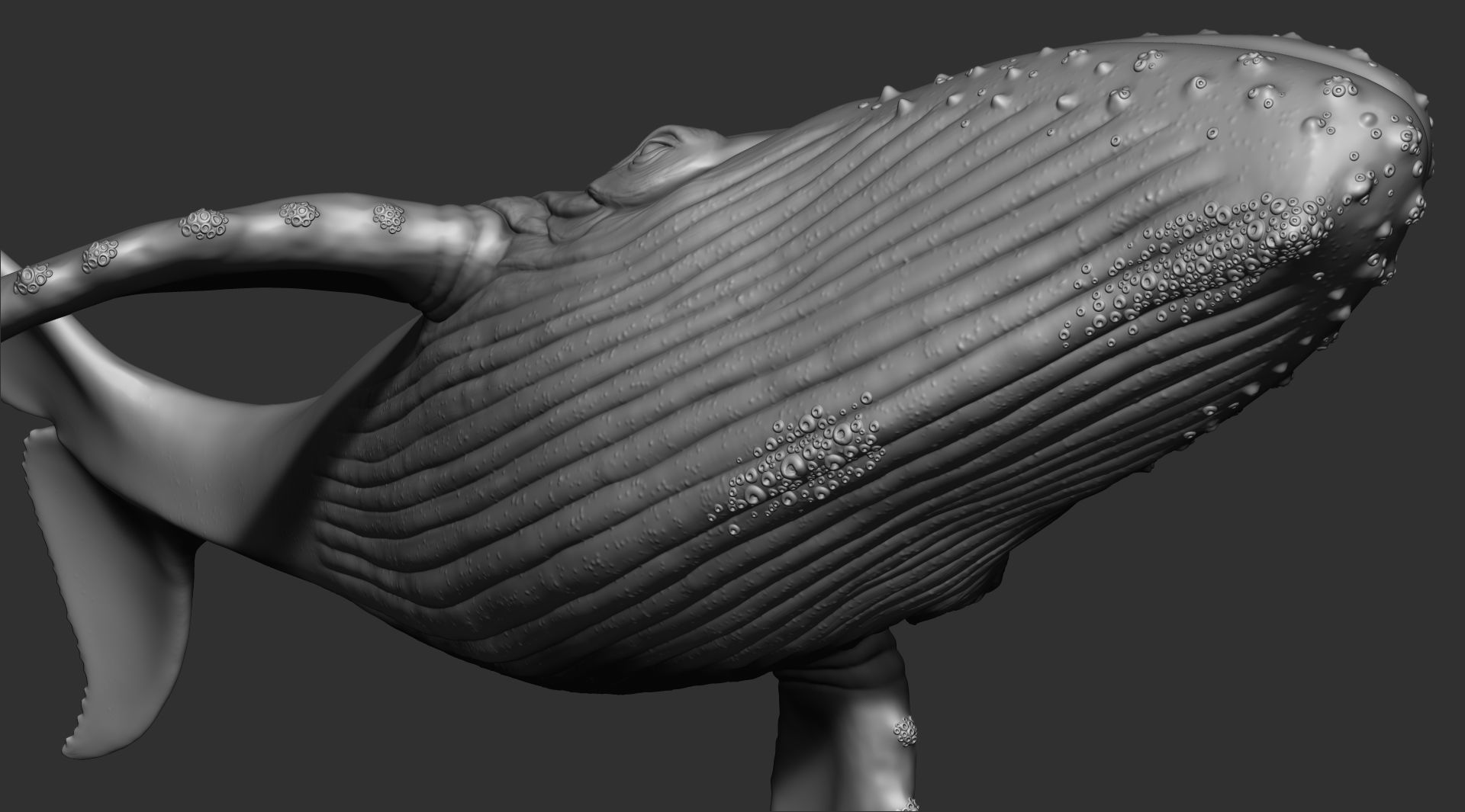 Whale 3dprint 3D print model_7