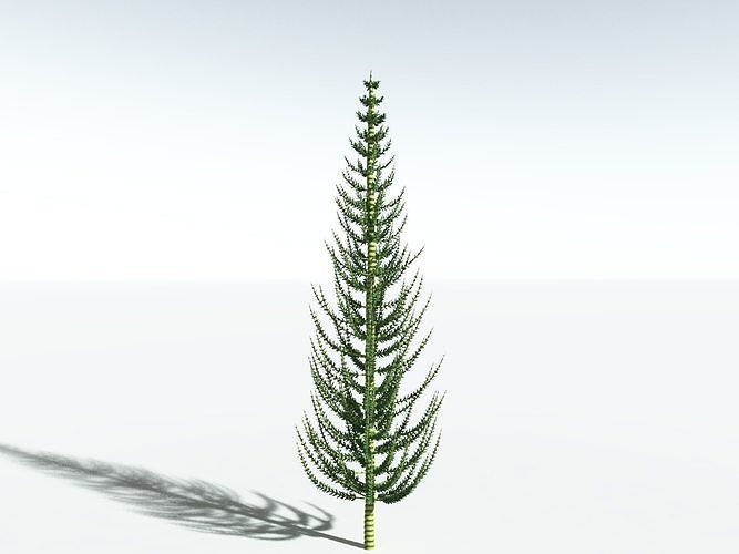 EVERYPlant Calamites Undulatus -16 Models- 3D model